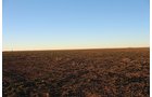 TRACT 1 - REAL ESTATE & MINERAL AUCTION - 640+/- ACRES & PRODUCING MINERALS OFFERED IN 8 TRACTS IN MORTON COUNTY, KANSAS